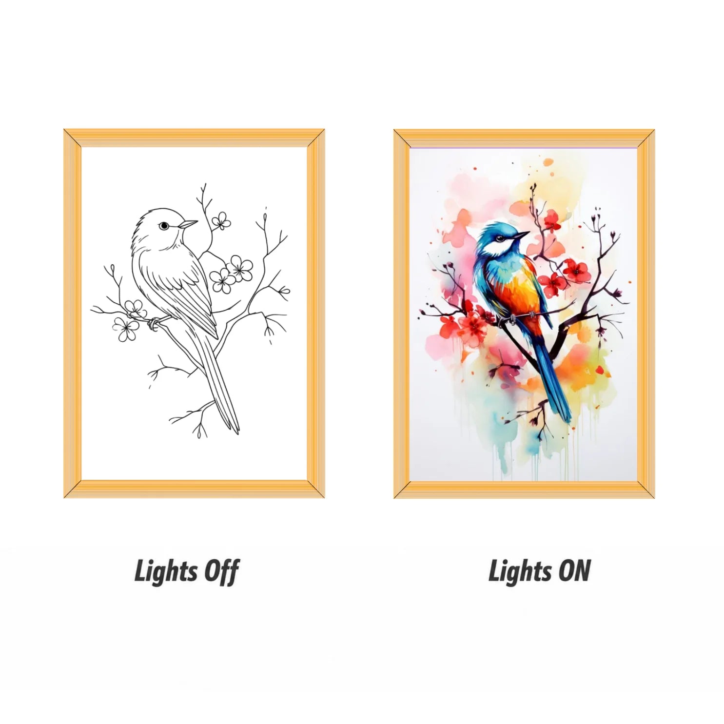 Colorful Bird